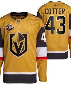 Men Vegas Golden Knights 43 Paul Cotter Primegreen Gold Jersey 2023 All-Star Jersey - Robokeg