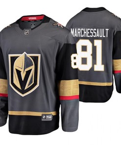 Men Vegas Golden Knights Jonathan Marchessault 81 Gray Home Breakaway Player Jersey Jersey - Robokeg