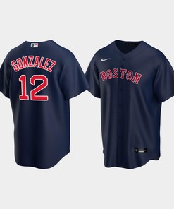 Men's Boston Red Sox Marwin Gonzalez Navy Alternate Jersey - Robokeg