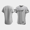 Men's Chicago White Sox Gray MR Patch Jersey - Robokeg