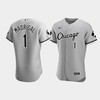 Men's Chicago White Sox Nick Madrigal 1 Gray MR Patch Player Jersey - Robokeg