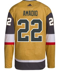 Mike Amadio 22 Vegas Golden Knights Stanley Cup 2023 Champions Patch Home Breakaway Men Jersey - Gold - Robokeg
