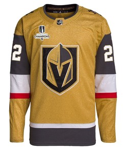 Mike Amadio 22 Vegas Golden Knights Stanley Cup 2023 Champions Patch Home Breakaway Men Jersey - Gold - Robokeg
