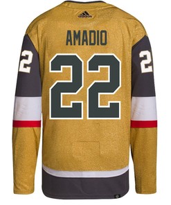 Mike Amadio 22 Vegas Golden Knights Stanley Cup 2023 Final Patch Home Breakaway Men Jersey - Gold - Robokeg