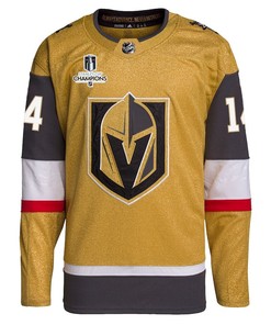 Nicolas Hague 14 Vegas Golden Knights Stanley Cup 2023 Champions Patch Home Breakaway Men Jersey - Gold - Robokeg