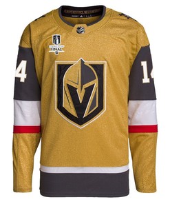 Nicolas Hague 14 Vegas Golden Knights Stanley Cup 2023 Final Patch Home Breakaway Men Jersey - Gold - Robokeg