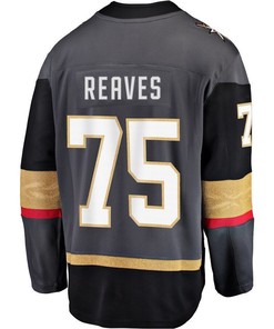 Ryan Reaves Vegas Golden Knights Home Premier Breakaway Player Jersey - Gray - Robokeg