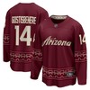 Shane Gostisbehere 14 Arizona Coyotes Alternate 2022/23 Premier Breakaway Men Jersey - Garnet - Robokeg