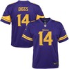 Stefon Diggs Minnesota Vikings Nike Youth Color Rush Game Jersey - Purple - Robokeg