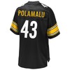 Troy Polamalu Pittsburgh Steelers Nfl Pro Line Retired Player Jersey - Black - Robokeg