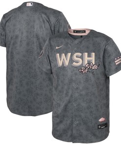 Washington Nationals 2022 City Connect Replica Jersey - Gray Mlb - Robokeg