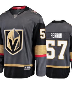 Youth Jersey Vegas Golden Knights David Perron 57 Breakaway Gray Jersey Jersey - Robokeg